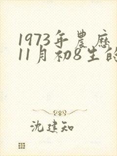 1973年农历11月初8生的命运