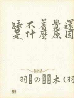 睡不着觉还出汗是什么原因