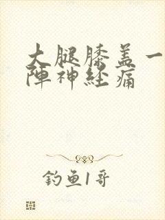 大腿膝盖一阵一阵神经痛