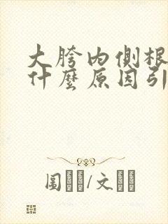 大胯内侧根疼是什么原因引起