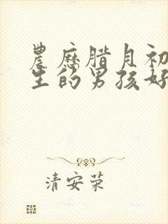 农历腊月初八出生的男孩好吗封面