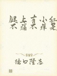 腿上有小红疙瘩不痛不痒是怎么回事