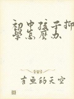 初中孩子抑郁厌学怎么办封面