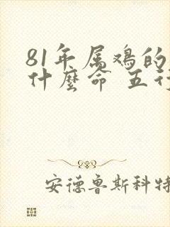 81年属鸡的是什么命 五行属什么封面
