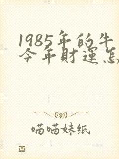1985年的牛今年财运怎么样