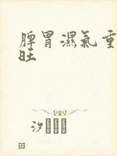 脾胃湿气重肝火旺封面