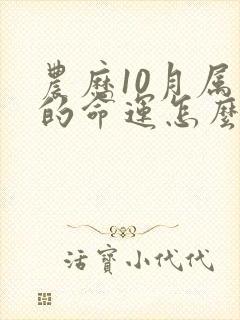 农历10月属马的命运怎么样封面