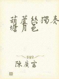 葫芦丝独奏曲荷塘月色