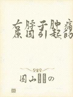 右脖子肿痛什么原因引起的