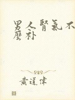 男人肾气不足怎么补封面