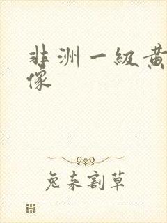 非洲一级黄色录像