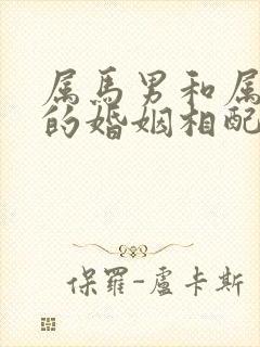 属马男和属龙女的婚姻相配吗