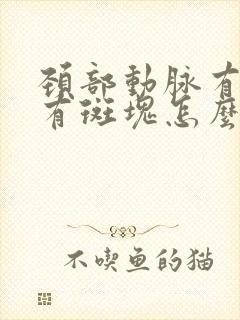 颈部动脉有硬化有斑块怎么办