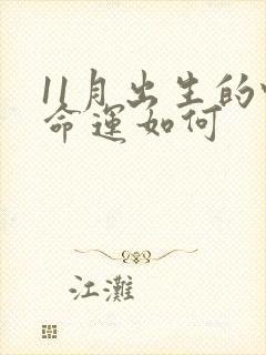 11月出生的蛇命运如何