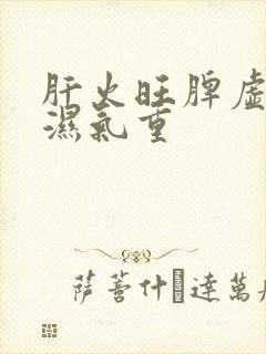 肝火旺脾虚胃寒湿气重封面