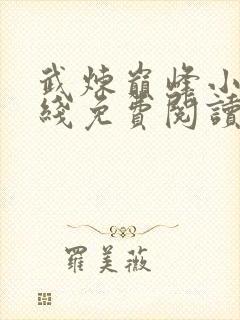 武炼巅峰小说在线免费阅读