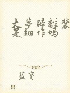 大梦归离裴思婧是细作吗