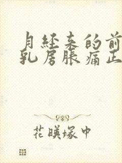 月经来的前几天乳房胀痛正常吗封面