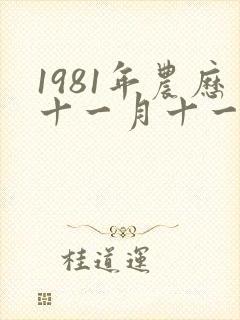 1981年农历十一月十一日出生的命运