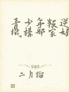 青少年叛逆教育机构哪家好封面