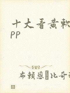 十大看黄软件app