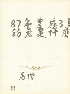 87年农历3月的兔是什么命