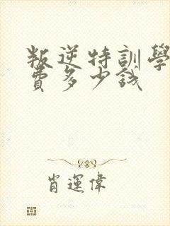 叛逆特训学校学费多少钱封面