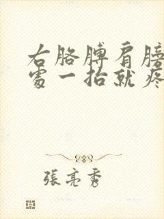 右胳膊肩膀关节处一抬就疼