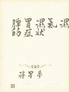 脾胃湿气湿热重的症状