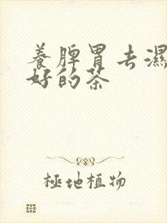 养脾胃去湿气最好的茶