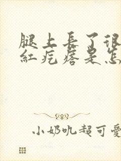 腿上长了很多小红疙瘩是怎么回事封面