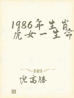 1986年生肖虎女一生命运