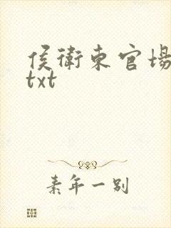 侯卫东官场笔记txt