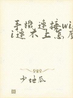 手机连接wifi连不上怎么回事