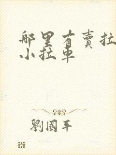 哪里有卖拉货的小拉车