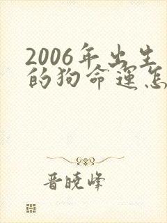 2006年出生的狗命运怎么样