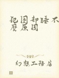 犯困却睡不着什么原因