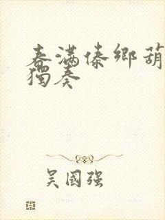 春满傣乡葫芦丝独奏封面