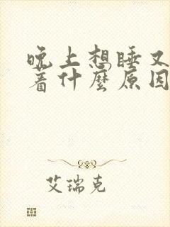 晚上想睡又睡不着什么原因