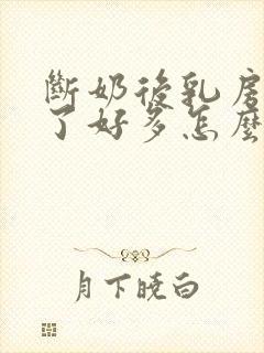 断奶后乳房变小了好多怎么办封面