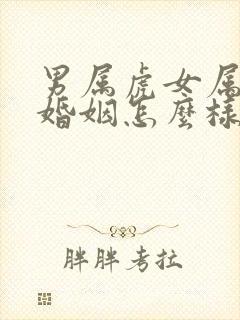 男属虎女属兔的婚姻怎么样