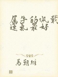 属牛的佩戴什么运气最好封面