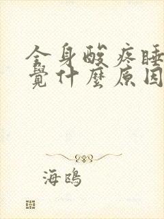 全身酸疼睡不着觉什么原因