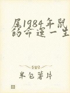 属1984年鼠的命运一生怎么样