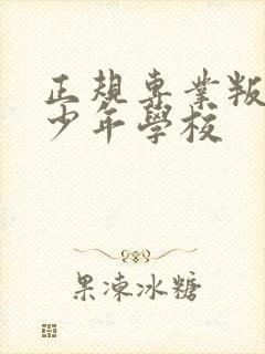 正规专业叛逆青少年学校