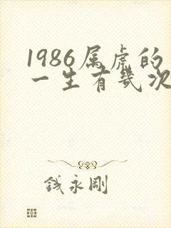 1986属虎的一生有几次婚姻