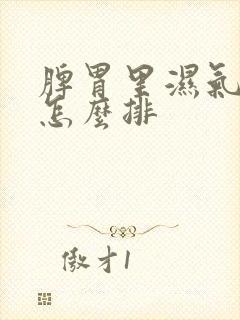 脾胃里湿气太重怎么排封面