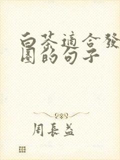 白茶适合发朋友圈的句子