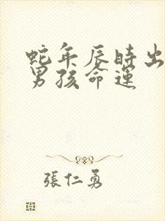 蛇年辰时出生的男孩命运