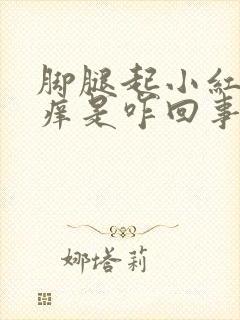 脚腿起小红疙瘩痒是咋回事